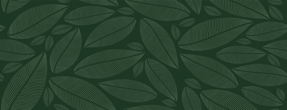 leaves graphic