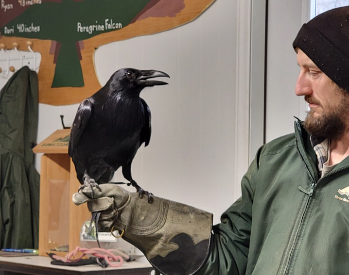 team members holding birds